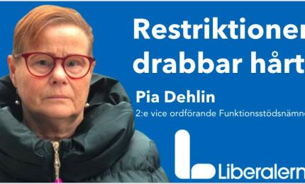Pia Delin Liberalerna Örebro kommun 2:e vice ordförande Funktionsstödsnämnden
