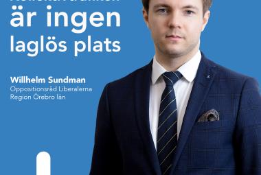 Willhelm Sundman, Liberalerna