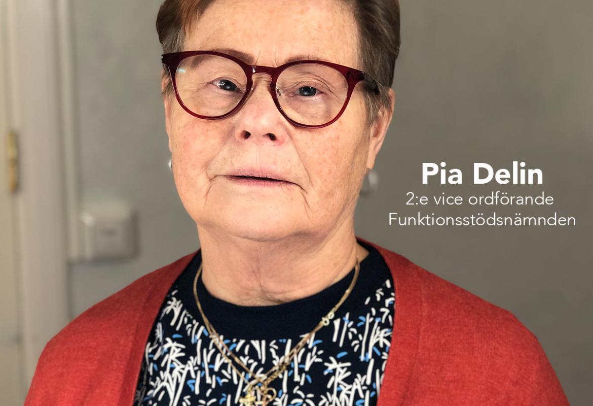 Pia Delin Liberalerna Örebro  2:e vice ordförande Funktionsstödsnämnden