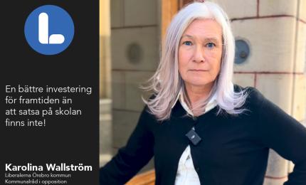 Karolina Wallström, Liberalerna Örebro kommun Kommunalråd i opposition 2:e vice ordförande Kommunstyrelsen