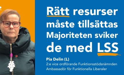 Pia Delin Delin Liberalerna Örebro kommun 2:e vice ordförande Funktionsstödsnämnden