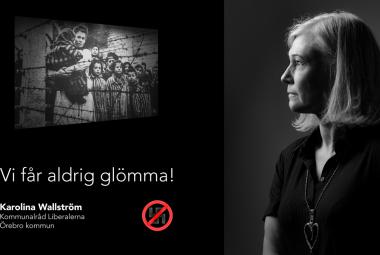 Vi får aldrig glömma - Karolina Wallström